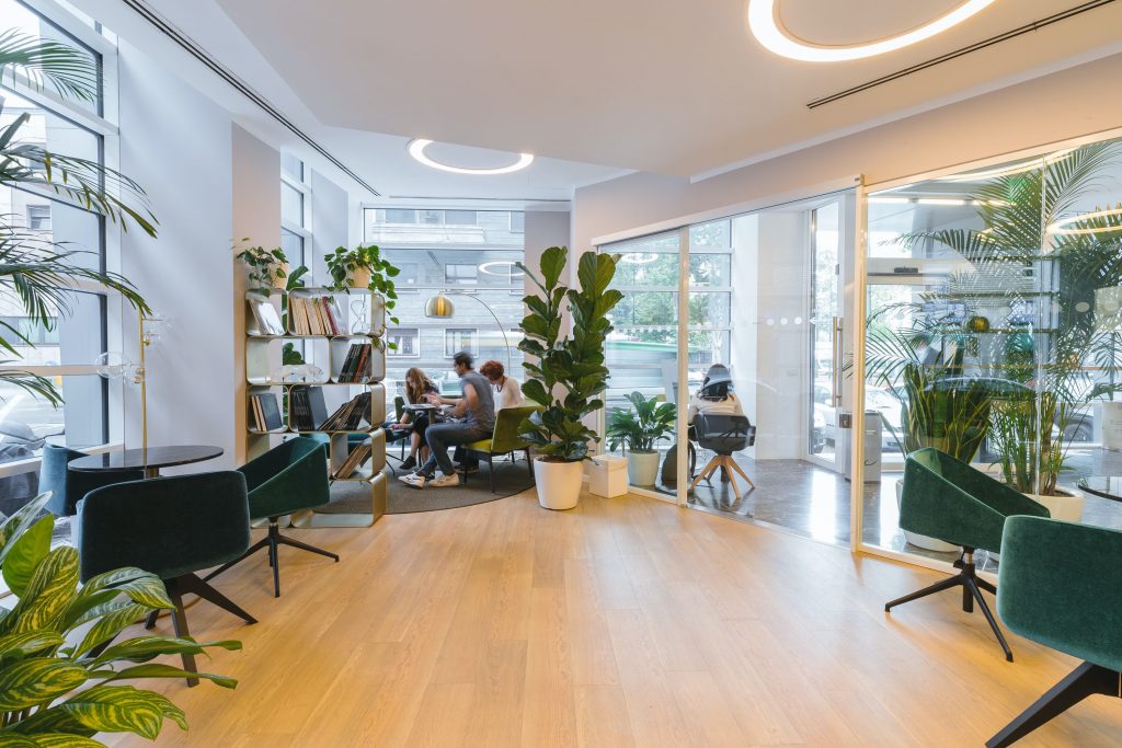 clean office with green plants and chairs and hardwood floor