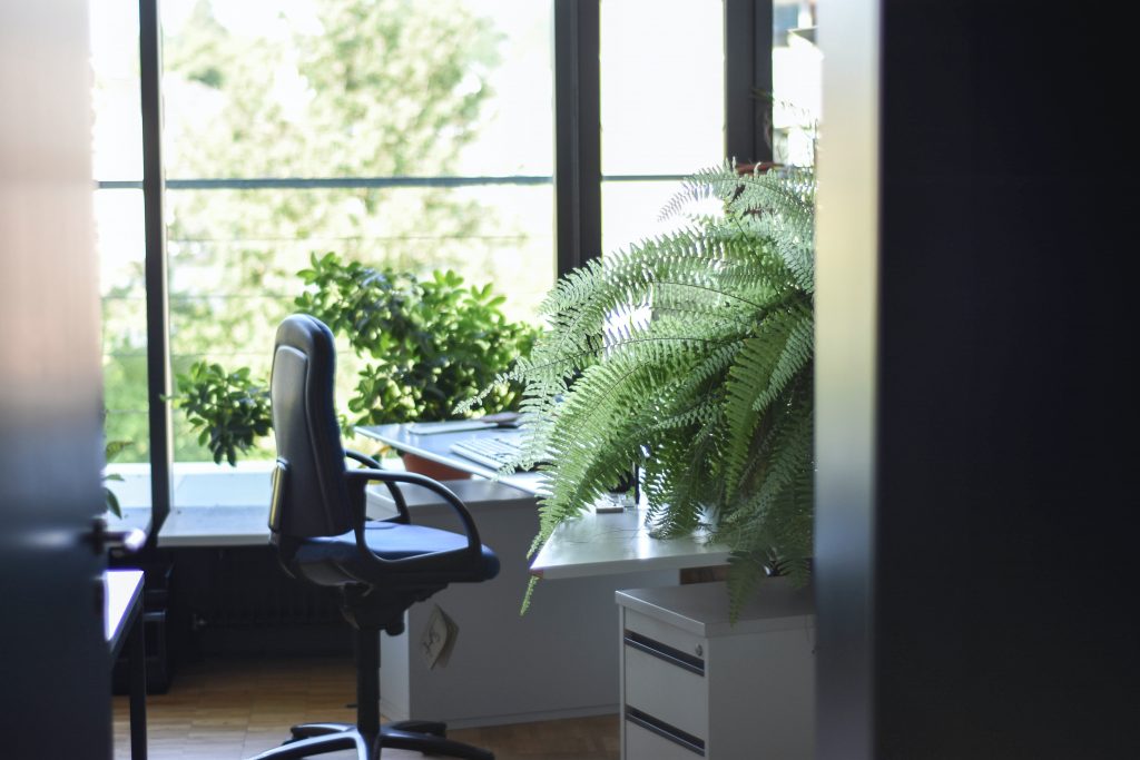 clean office with green plants and black leather rolling armchair
